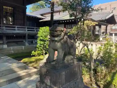 白山神社の狛犬