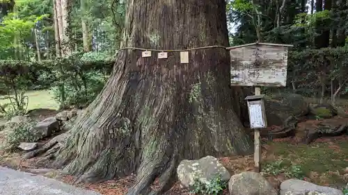 牛尾神社の自然