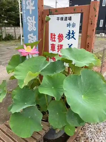 教善寺(神奈川県)