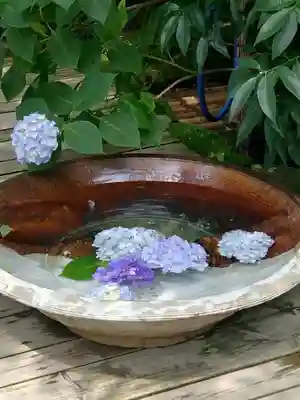 明月院(神奈川県)