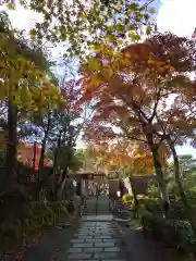 化野念仏寺の庭園