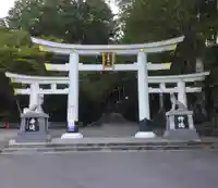 三峯神社(埼玉県)
