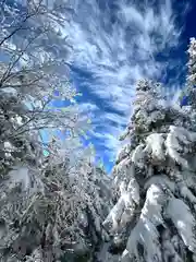 山家神社奥宮の自然