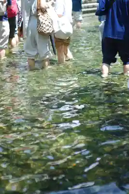 賀茂御祖神社（下鴨神社）(京都府)