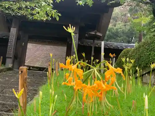 横浜　西方寺の自然