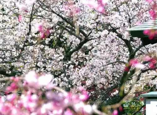 三津厳島神社(愛媛県)