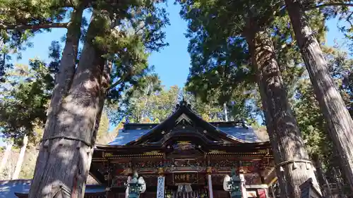 三峯神社(埼玉県)