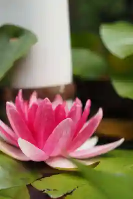 天王山 安楽寺(福井県)