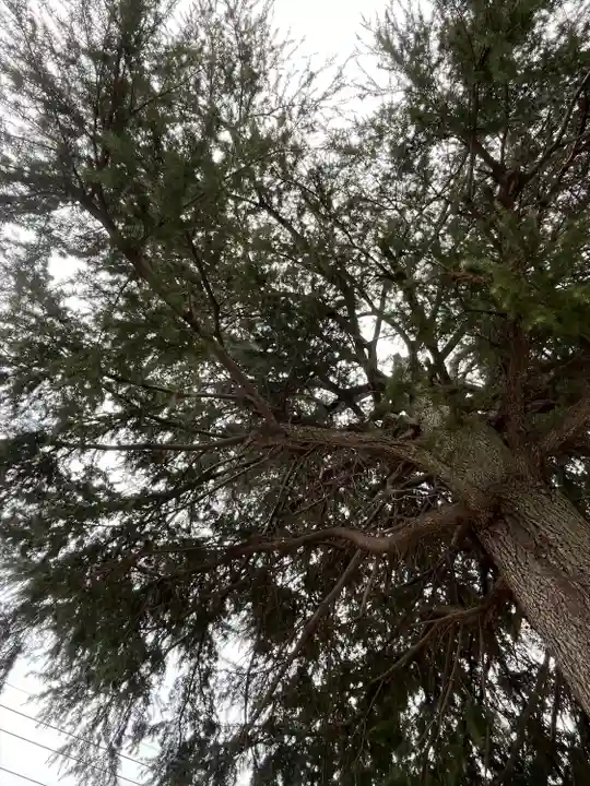 武蔵第六天神社(埼玉県)