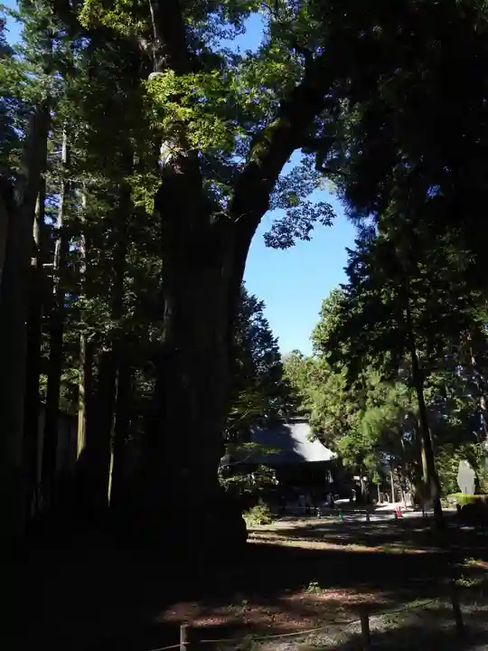 諏訪大社(長野県)