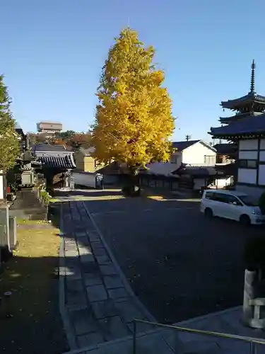 光徳院のその他建物