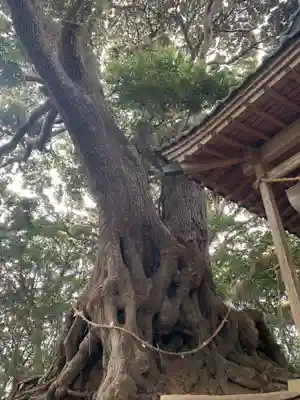 浅間神社(千葉県)