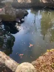 大原八幡宮の自然