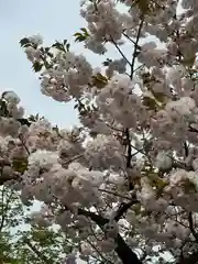 総持寺祖院(石川県)