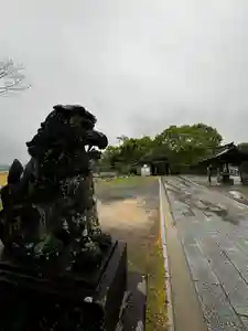 飯盛神社(長崎県)(2024年04月21日(日) 19時51分15秒投稿)