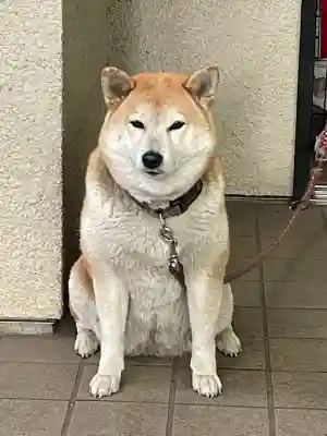 笠䅣稲荷神社(神奈川県)