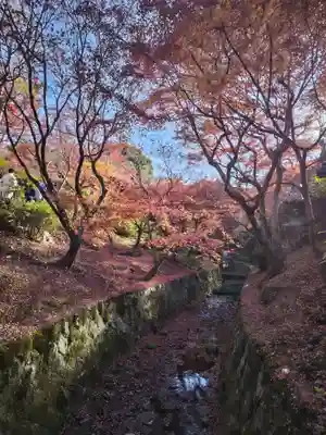 東福禅寺(東福寺)(京都府)