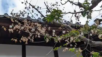 本満寺(本願満足寺)(京都府)