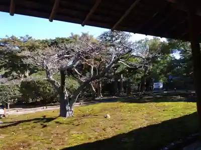 長壽寺（長寿寺）(神奈川県)
