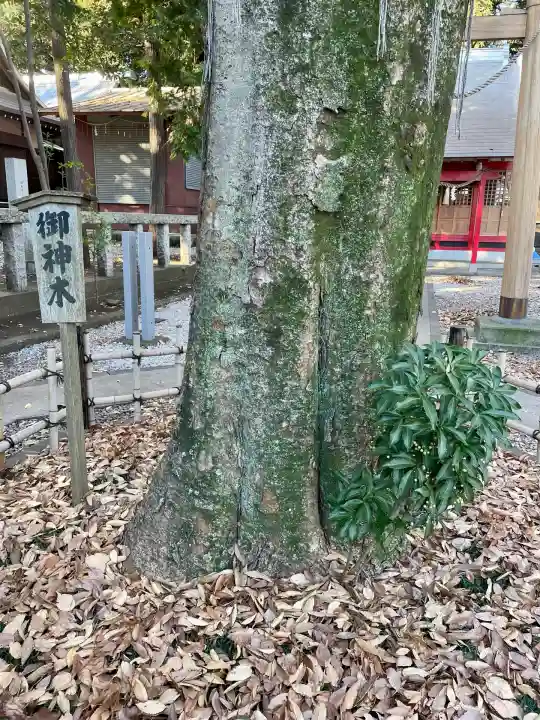 橋本大鷲神社(神奈川県)