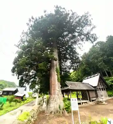 大内神社(京都府)