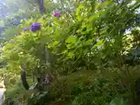 報国寺のその他建物