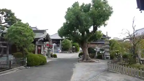 井戸寺(徳島県)