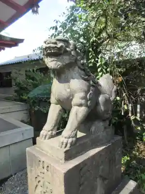筑土八幡神社の狛犬