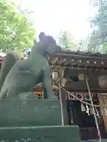 開運招福 飯玉神社の狛犬