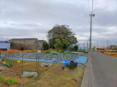 三躰社（宇治町）の自然