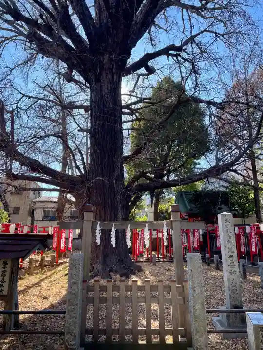 武芳稲荷神社の{uncategorized: "未分類", other: "その他", undefined: "問題あり", building: "その他建物", grave: "お墓", sacred_gate: "鳥居", guardian: "狛犬", statue: "像", buddha: "仏像", history: "歴史", nature: "自然", garden: "庭園", animal: "動物", pagoda: "塔", temizu: "手水舎", mountain_gate: "山門・神門", sanctuary: "本殿・本堂", subordinate: "末社・摂社", art: "芸術", scenery: "景色", jizo: "地蔵", ema: "絵馬", goshuin: "御朱印", omikuji: "おみくじ", items: "授与品その他", amulet: "お守り", goshuincho: "御朱印帳", eats: "食事", festival: "お祭り", votive_dance: "神楽", shichigosan: "七五三参", wedding: "結婚式", experience: "体験その他", initially: "初詣", around: "周辺", anti_infection: "感染症対策"}