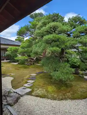 妙顯寺（妙顕寺）(京都府)