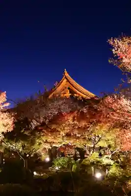 東寺（教王護国寺）(京都府)