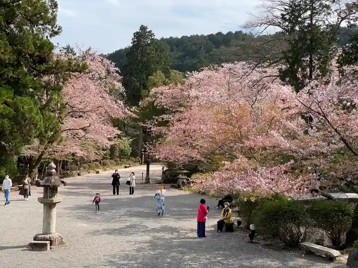 園城寺(三井寺)(滋賀県)