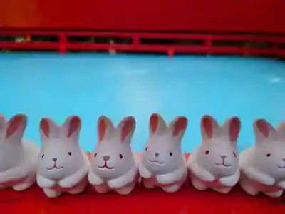 岡崎神社のおみくじ