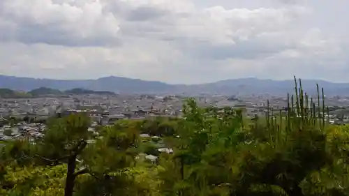 常寂光寺(京都府)