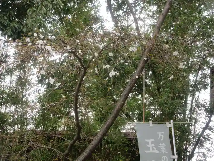 玉津島神社(和歌山県)