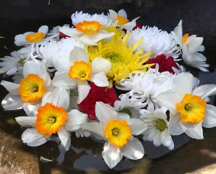 真言宗 善通寺派 薬王寺の庭園