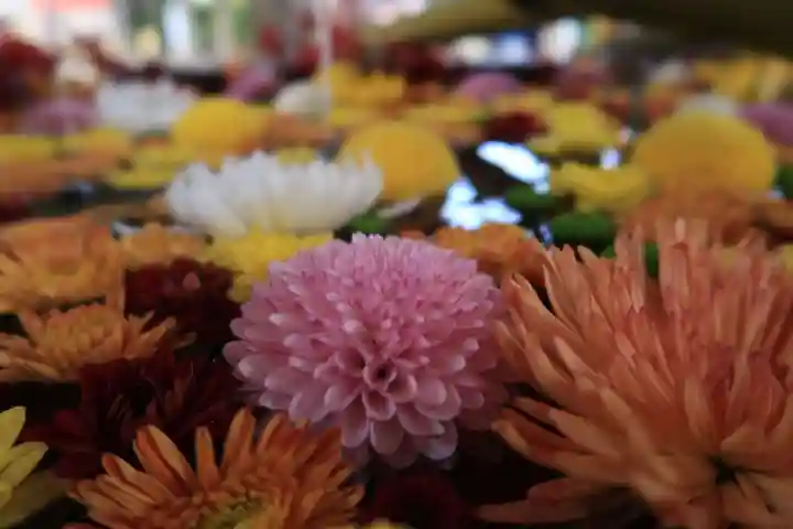 石清水八幡宮の手水舎