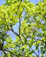 伊達神社の自然