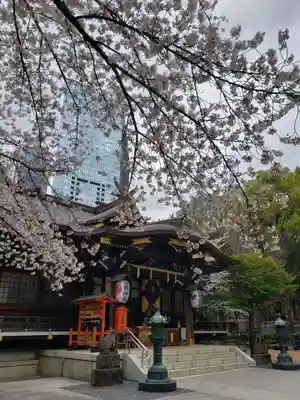 熊野神社の本殿・本堂