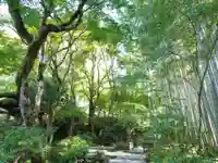 圓光寺(京都府)