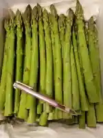 金王八幡宮(東京都)