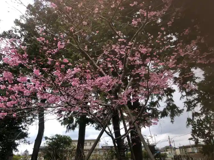 山神社(宮城県)