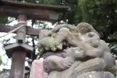 金鑚神社の狛犬