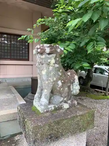 高山神社の狛犬