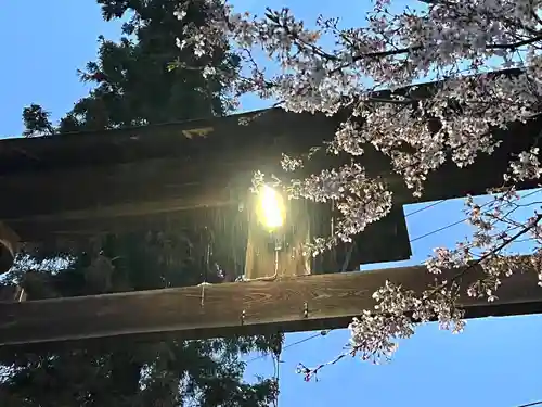 山家神社の鳥居