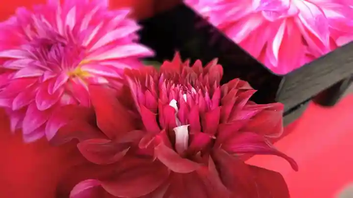 阿邪訶根神社(福島県)