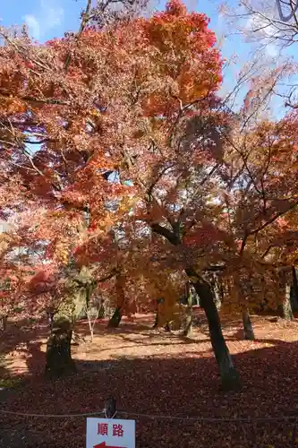 東福禅寺（東福寺）の庭園