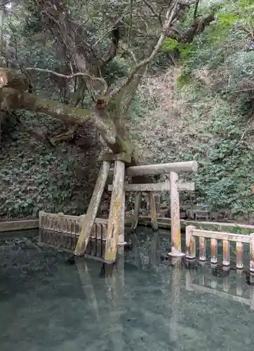 奥宮(鹿島神宮摂社)(茨城県)
